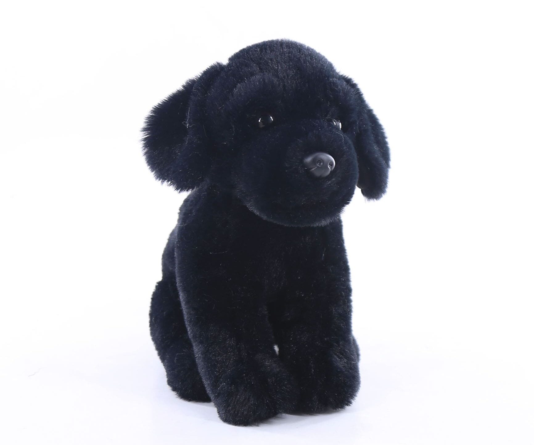 34942 Black labrador(S)