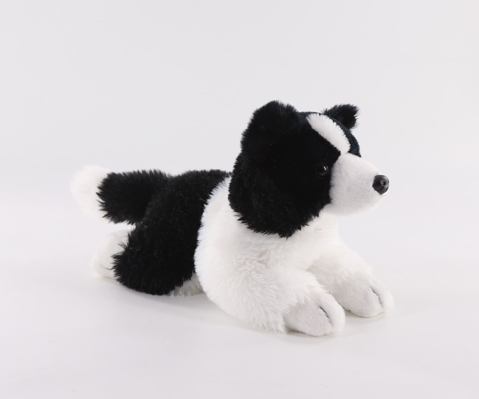 HB34493A-26 Border collie