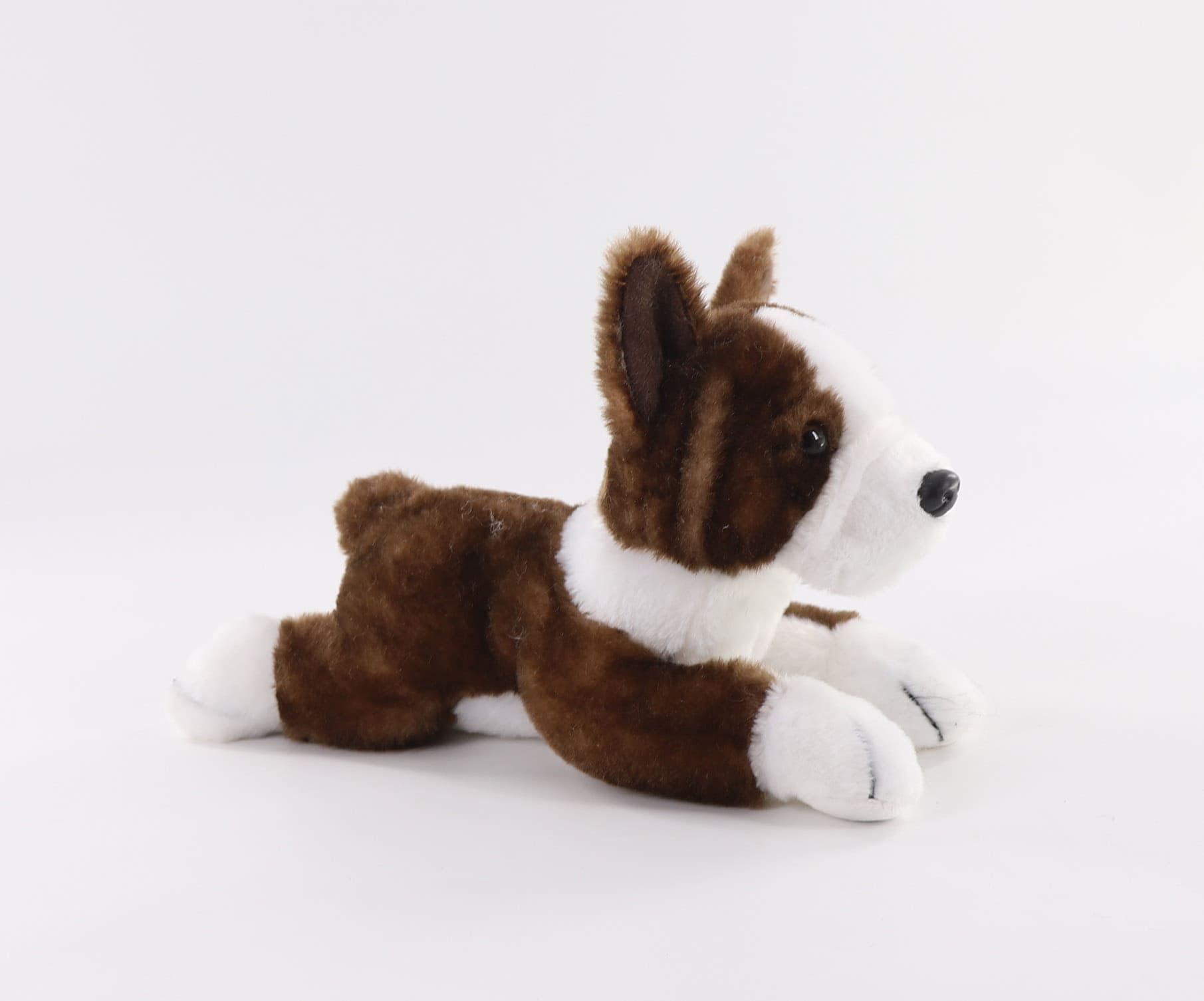 HB35851-26 Boston Bulldog