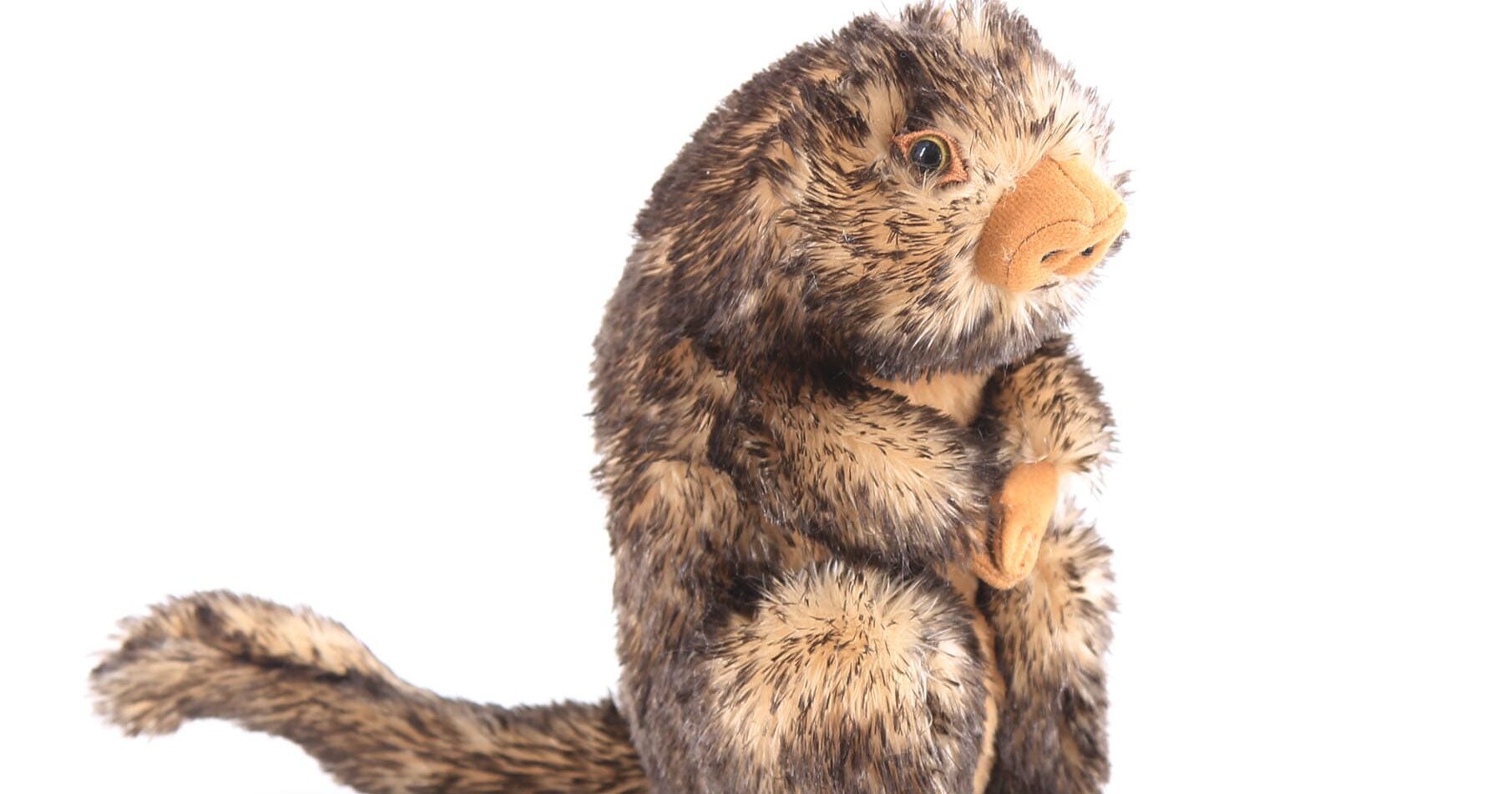 オマキヤマアラシくんぬいぐるみ | 野生の動物シリーズ | 製品のご紹介