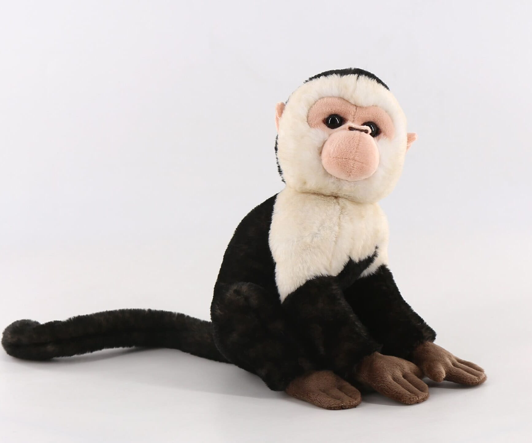 33341 CapuchinMonkey