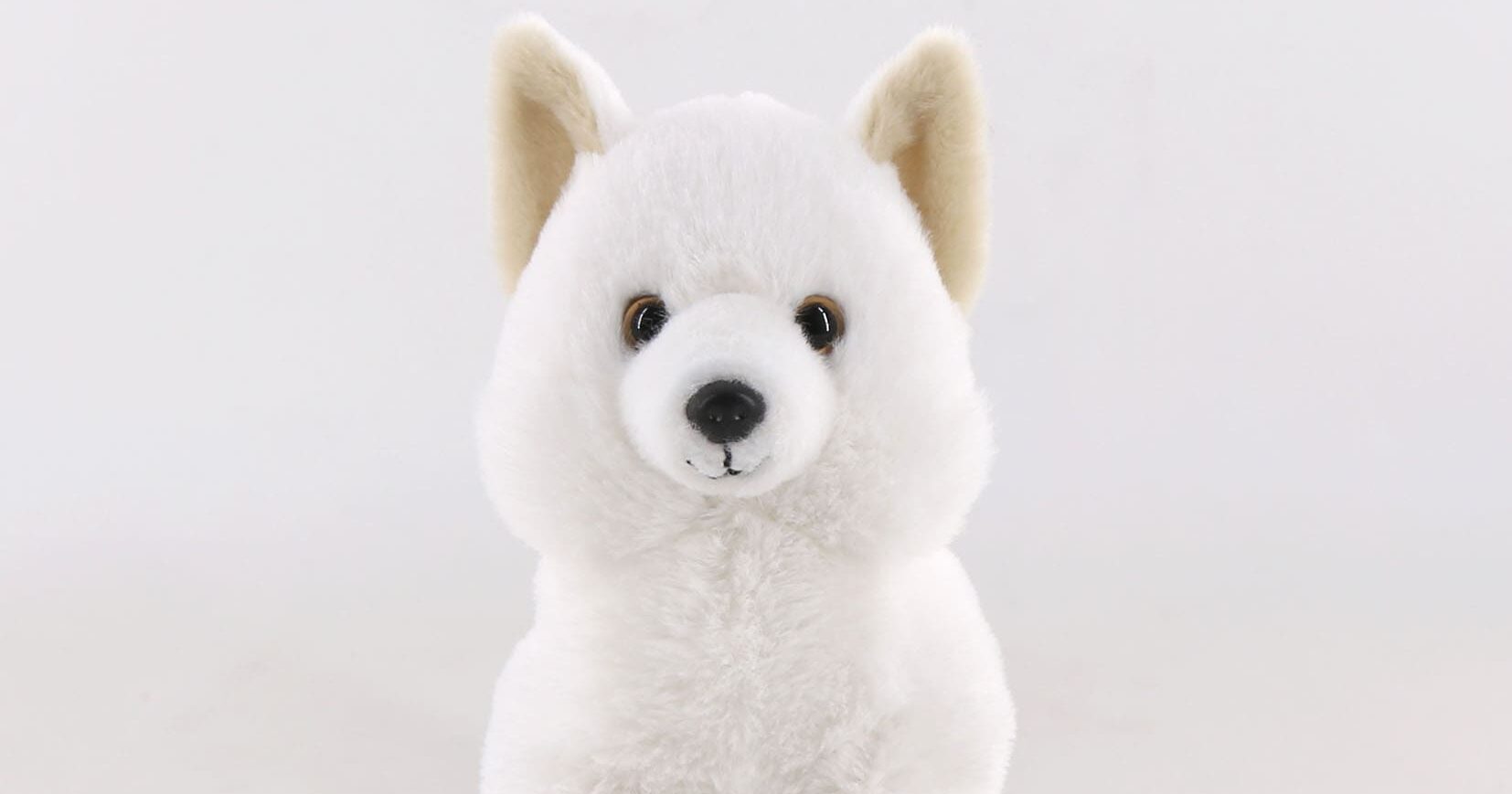 ホッキョクギツネ Amazonで購入可能な製品 製品のご紹介 SAENCO株式会社