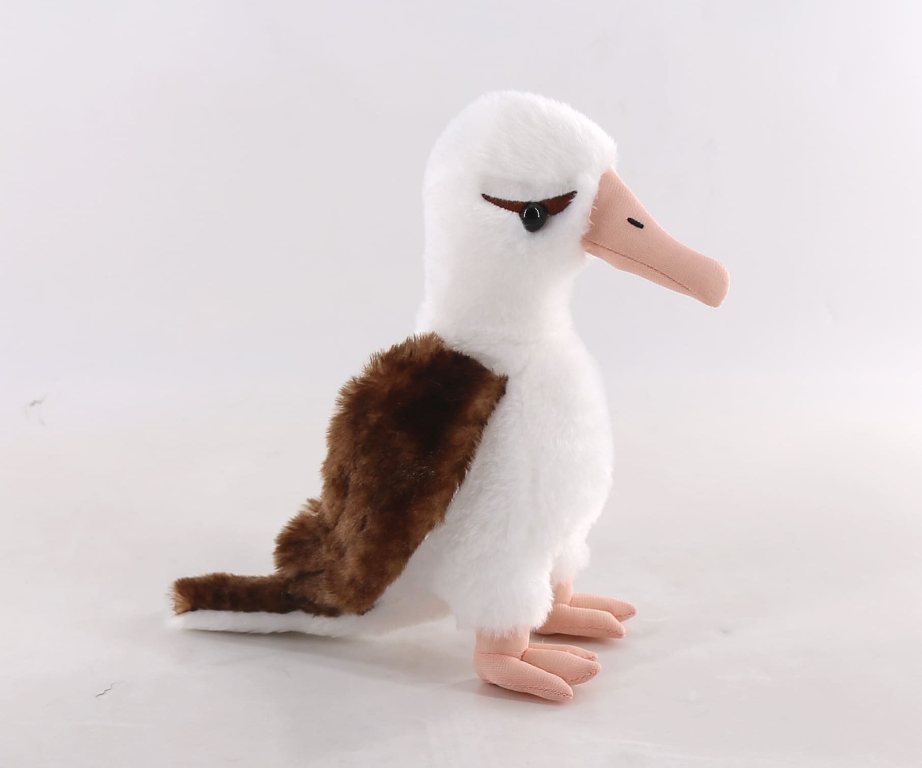 34986 Albatross bird(S)