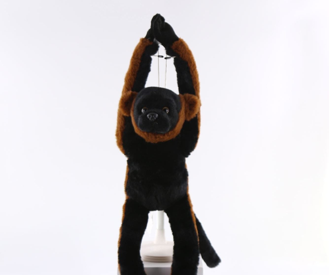35196 Hanging red ruffed lemur