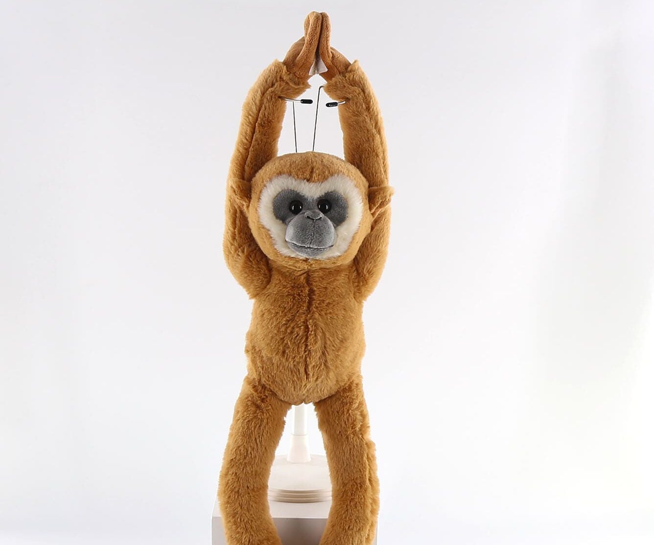 35266 hanging gibbon