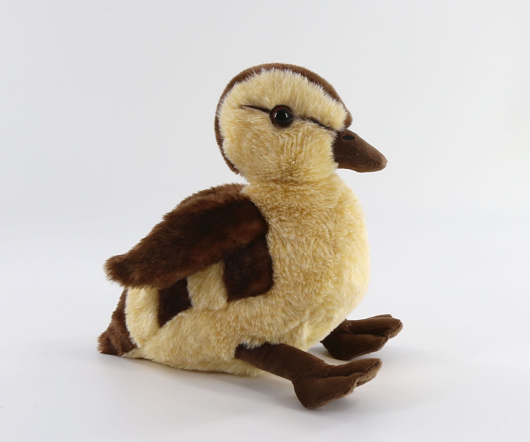 35288 Mallard duckling