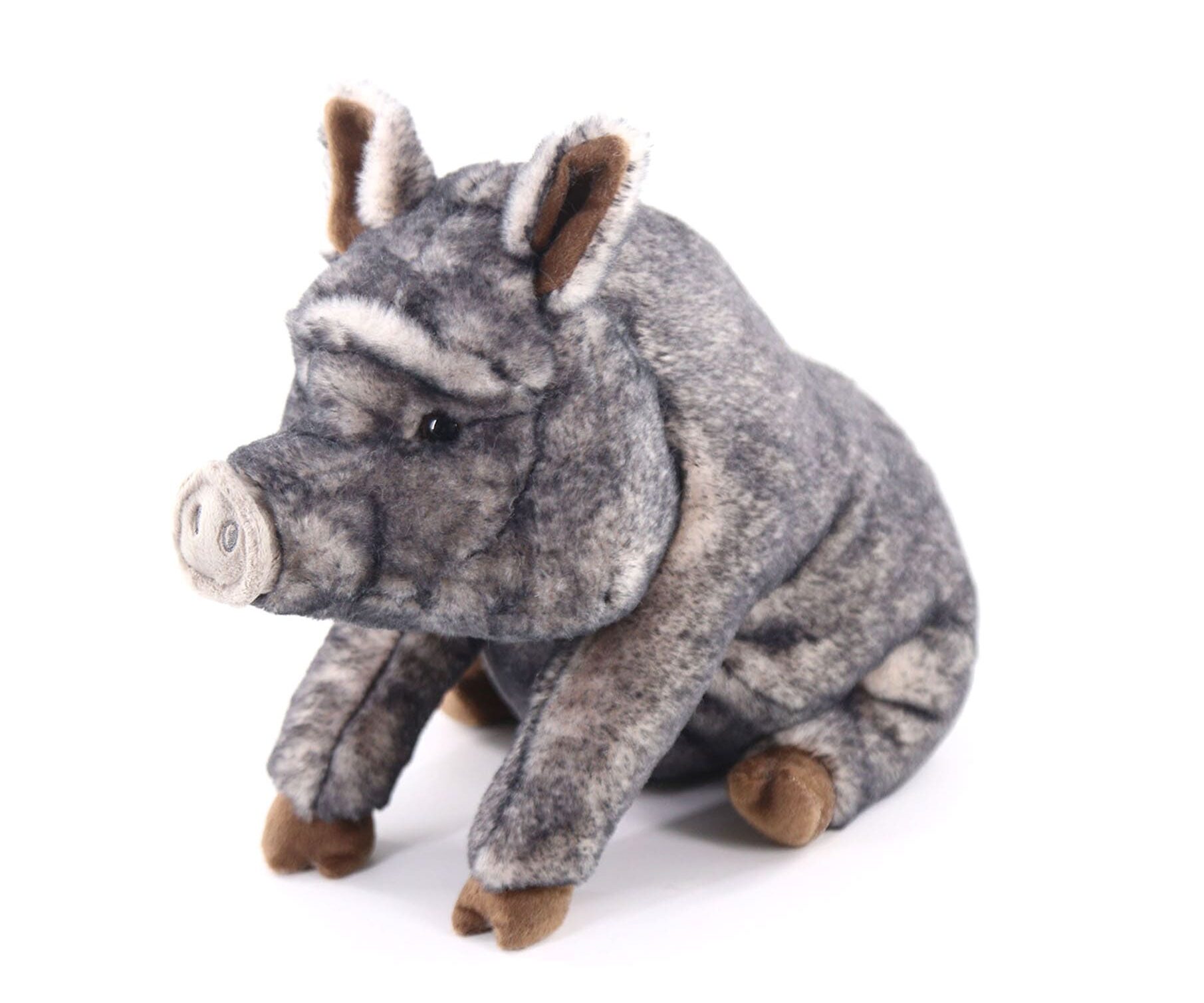 HB35438-32 Potbelly pig