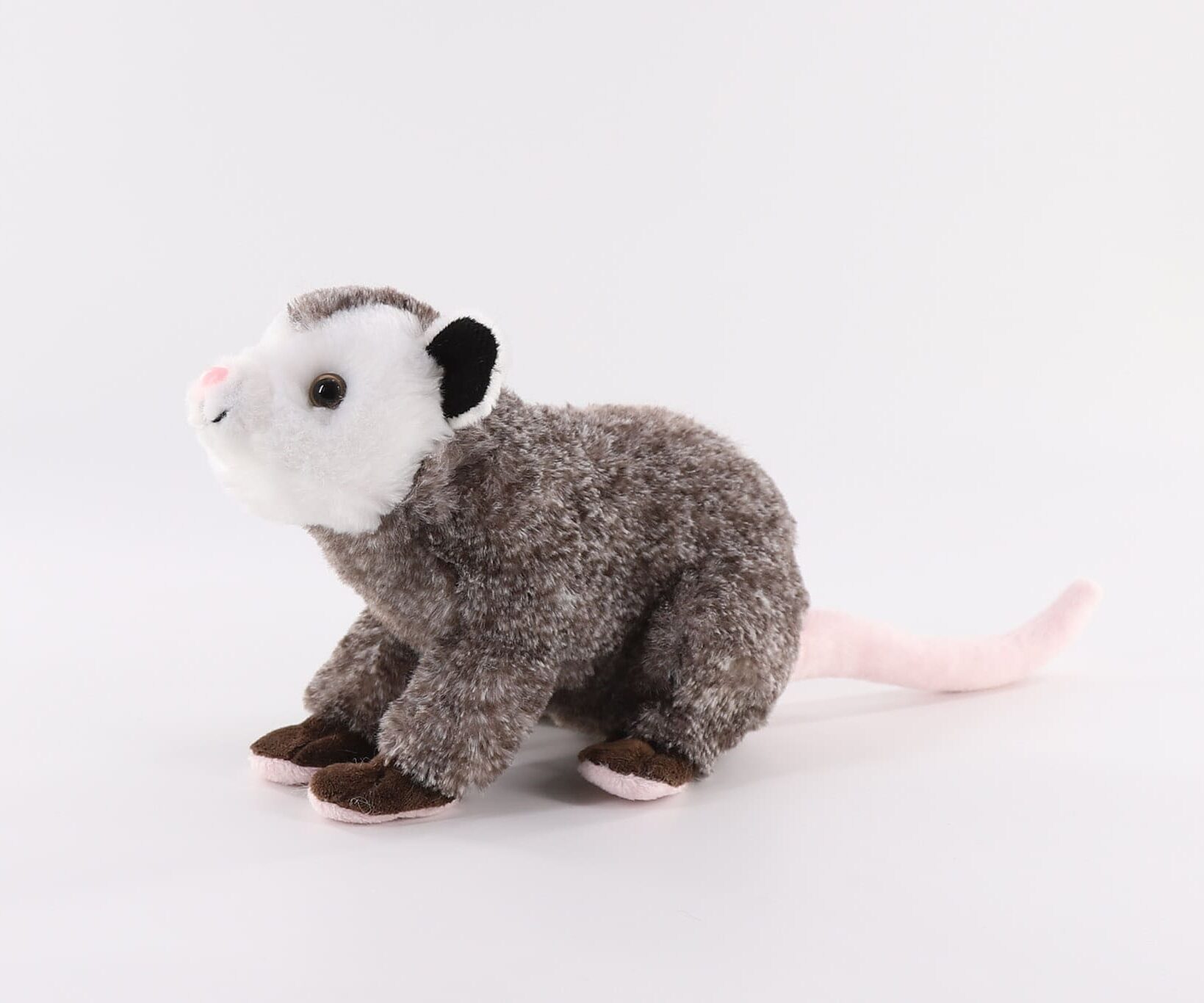 HB35582-22 Possum