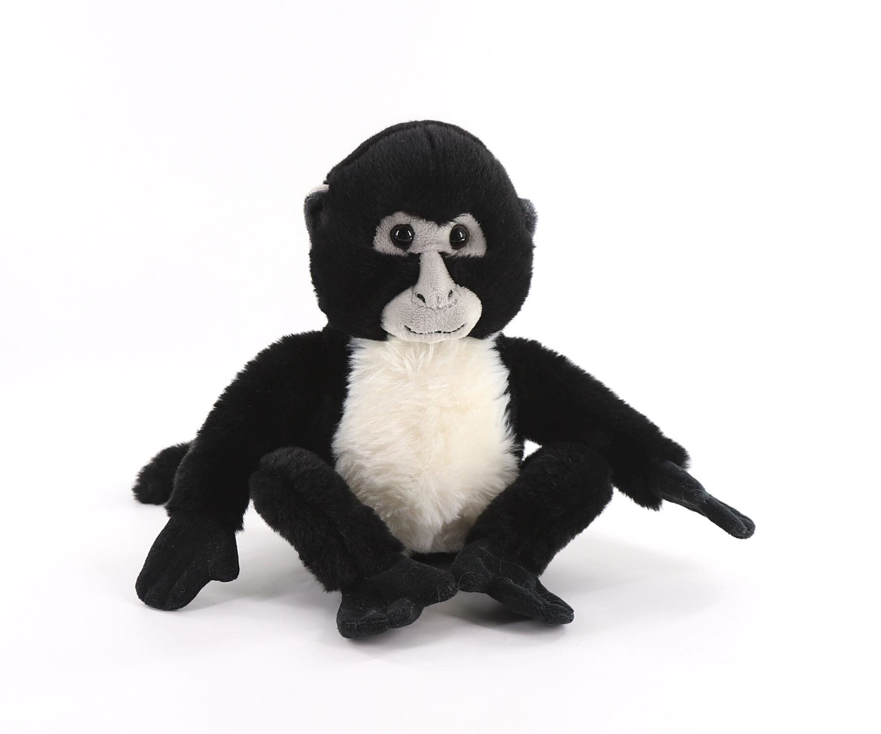 HB35744-20 Spider monkey