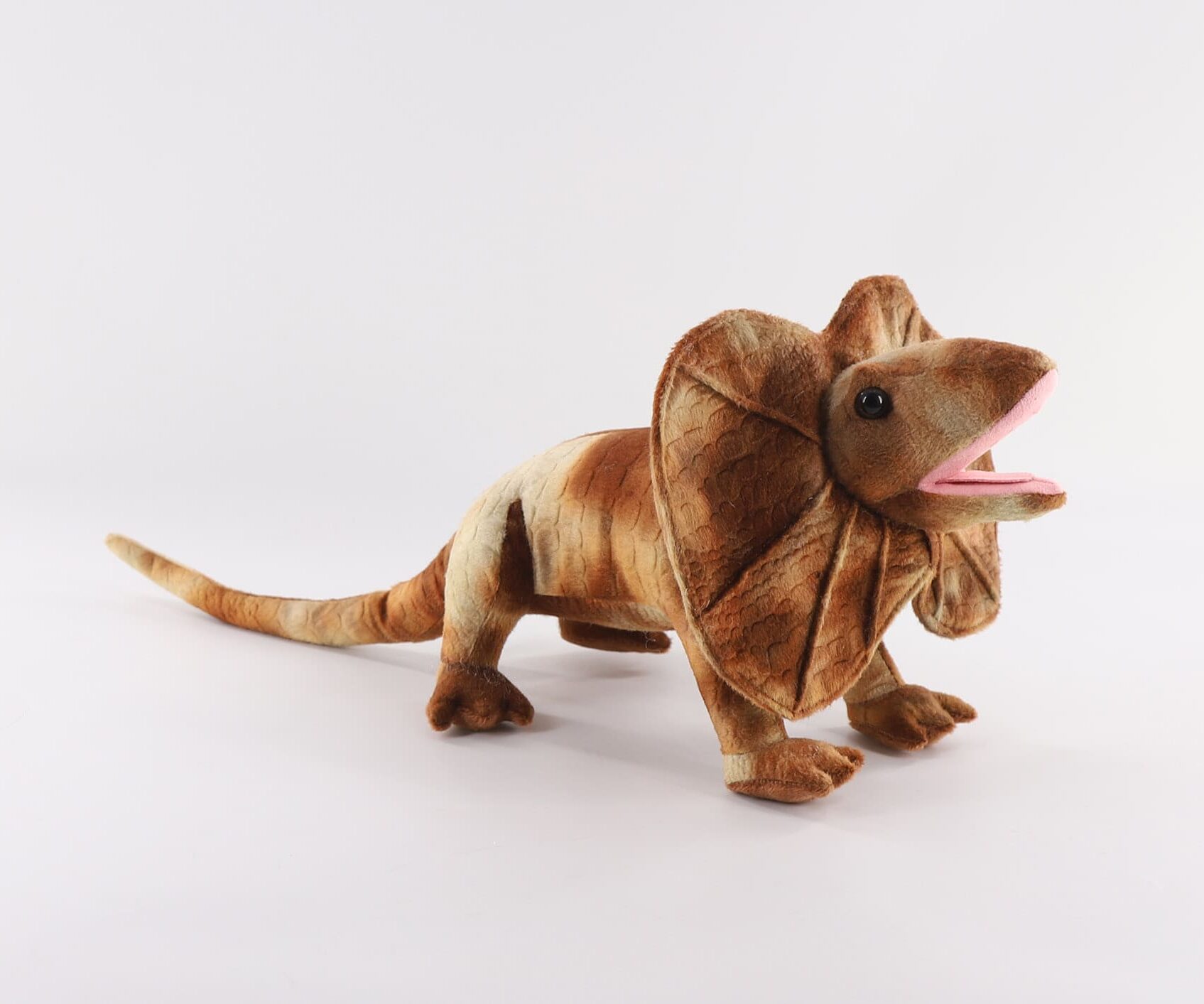 HB35826-50 Frilled lizard