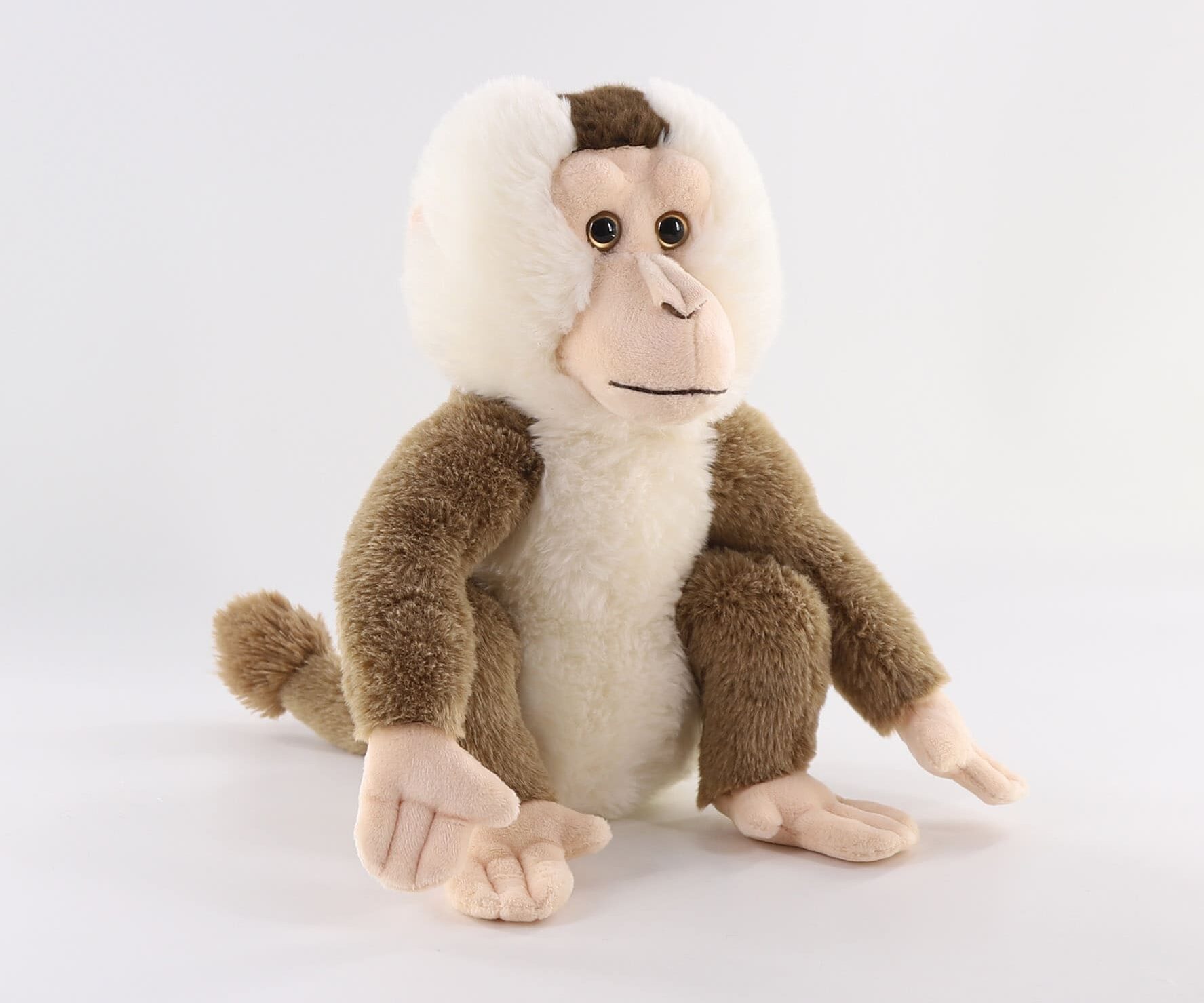 HB35844-29 Pigtailed macaque