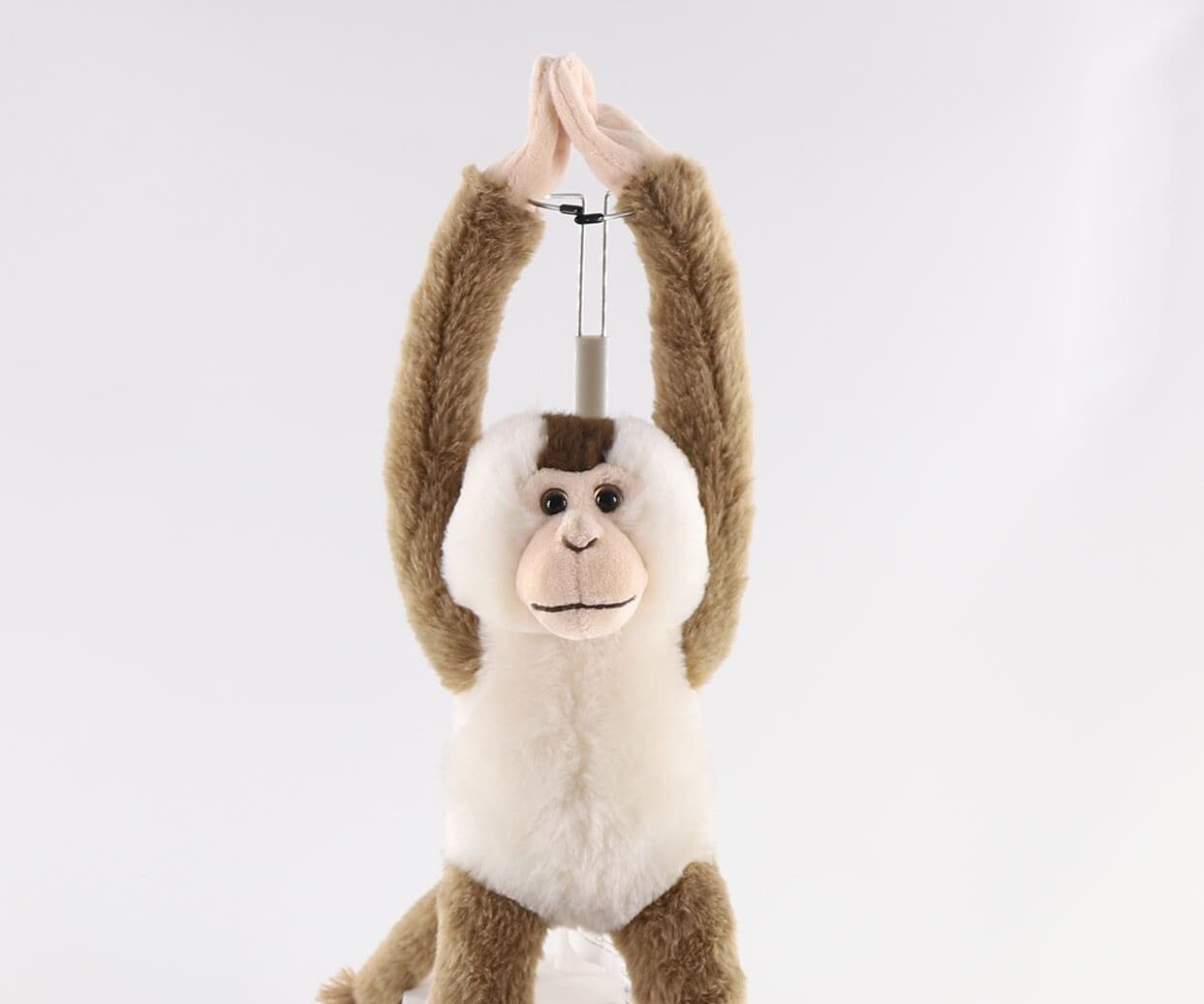 野生の動物シリーズ | 製品のご紹介 | SAENCO株式会社